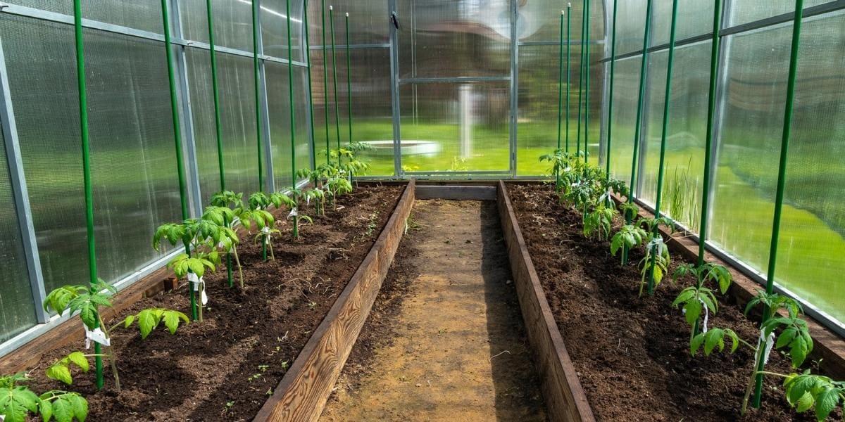 Fabricacion, construccion y refuerzo de estructuras de riego, soportes para plantas, tutores para árboles, cobertizos, invernaderos... con barras, varillas y mallado de refuerzo de GFRP Polimero refrzado con fibra de vidrio PRFV